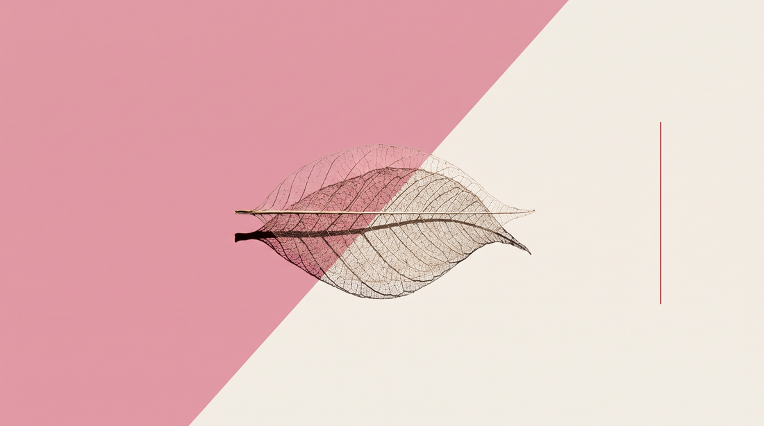 Una foglia scheletrizzata ridotta al reticolo delle nervature, su fondo diviso da una diagonale, metà rosa e metà bianco osso
