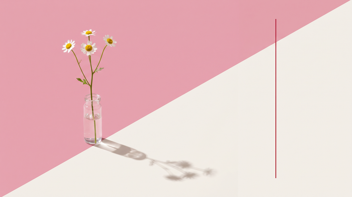 Fiori di camomilla in una fiala di vetro su fondo rosa e bianco osso